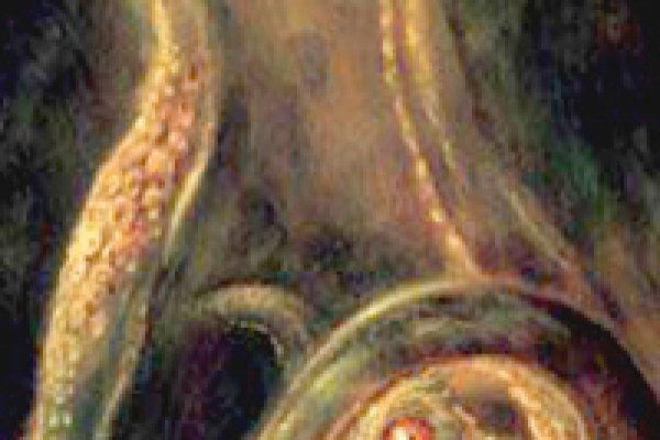 Кракен сайт 17at