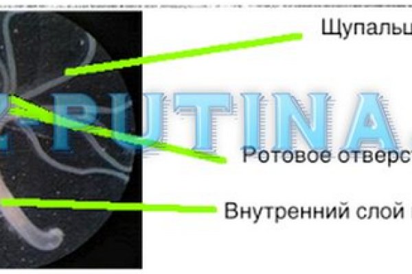 Как восстановить доступ к кракену